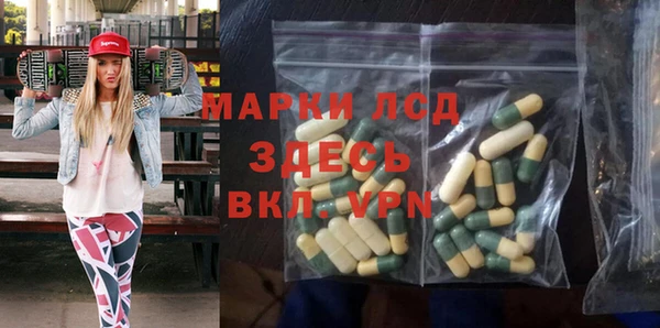 гидра Алексин